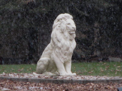 The Lion in Winter 2011 -  Late September