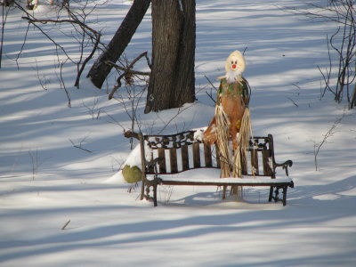 My Backyard