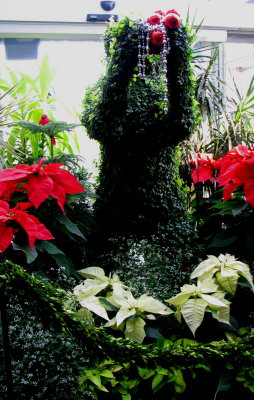 Christmas Display at the Botanical Garden in DC