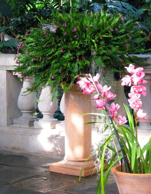 Green, Blue and Pink
