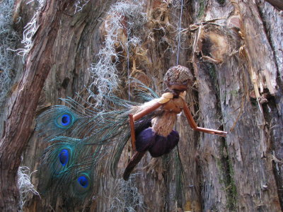 Wood Fairy
