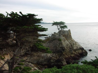 Looking out towards the ocean