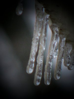 Winter's hand