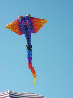 Kites at new heights 