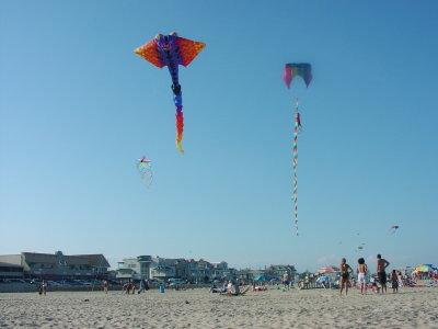 Summer  Fun at the Jersey Shore.