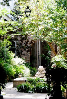 Indoor Garden