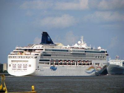 Cruise ships