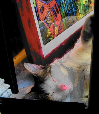 Art  Display and Snoozing Cat
