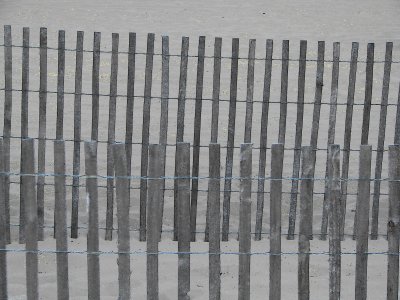 Fencing 