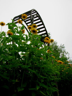 Arbor at Kittatinny State Park 