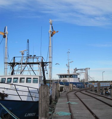 Prawn Trawlers @ Venus Bay