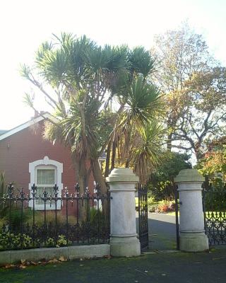 There are an amazing number of palm trees in Ireland