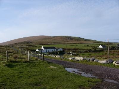 Country lane