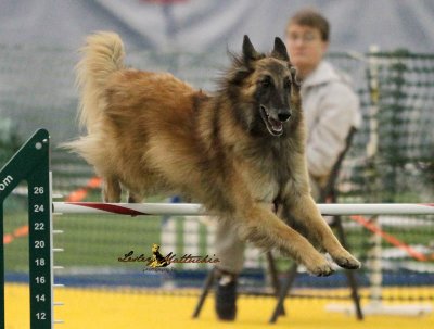 Leap Sat Novice JWWs