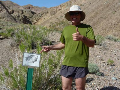 Sign for Panamint daisy