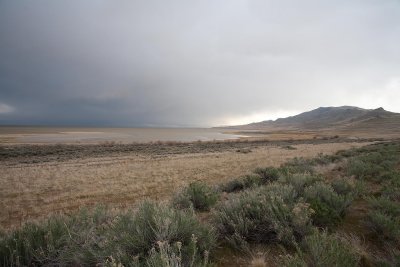 Antelope Island, UT