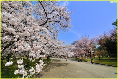 DSC_7536.jpg