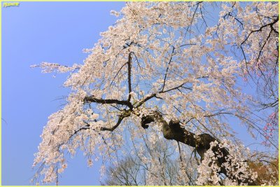 DSC_7567.jpg