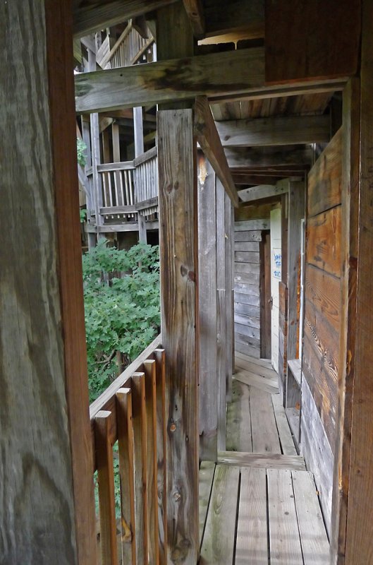 TREE HOUSE CHURCH