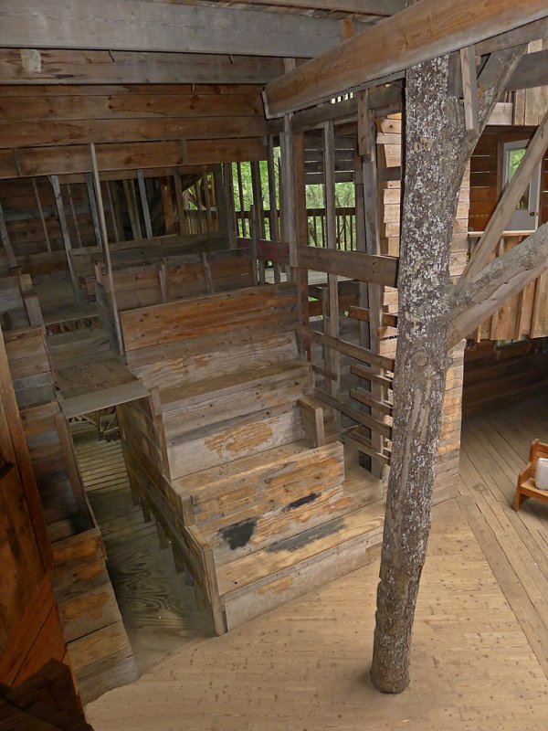 TREE HOUSE CHURCH