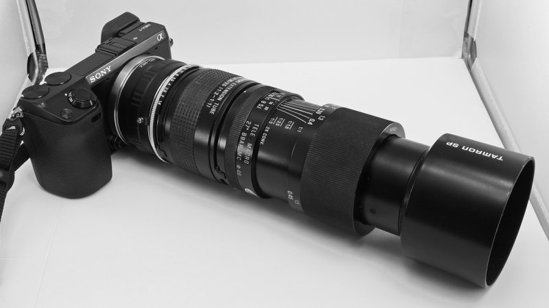THE NEX-7, WITH THE TAMRON SP 90mm F/2.5 LENS & THE TAMRON EXTENSION TUBE  -  SHOWN EXTENDED TO THE MAXIMUM 1:1 MAGNIFICATION