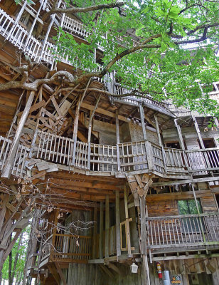 TREE HOUSE CHURCH