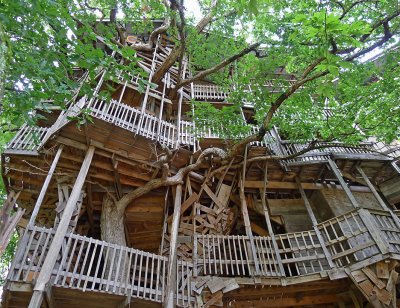 TREE HOUSE CHURCH