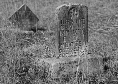 INFANT GRAVESTONE  -  ISO 100  -  SONY 50mm f/1.8 E-MOUNT LENS