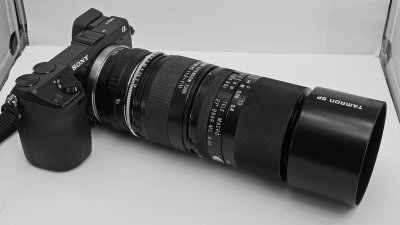 THE NEX-7, WITH THE TAMRON SP 90mm F/2.5 LENS & THE TAMRON EXTENSION TUBE  -  SHOWN WITH LENS HOOD ATTACHED