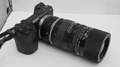 THE NEX-7, WITH THE TAMRON SP 90mm F/2.5 LENS & THE TAMRON EXTENSION TUBE  -  SHOWN WITHOUT THE LENS HOOD