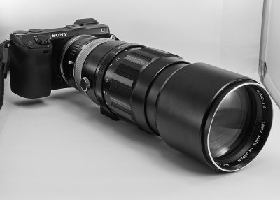 NEX-7 WITH A MINOLTA MC ROKKOR 300mm f/4.5 HF LEGACY LENS 