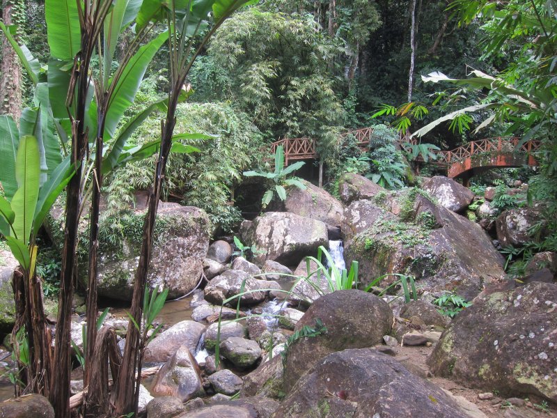 langkawi 047.jpg