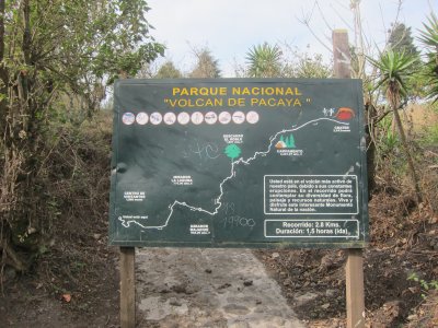 trekking up pacaya 1
