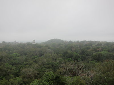 Tikal from Temple IV
