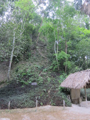 another huge unexcavated temple