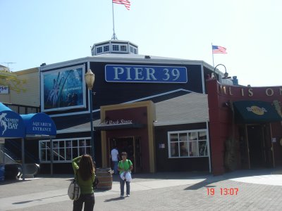 pier 39