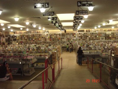 Amoeba