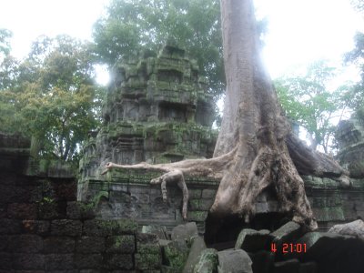 Ta Prohm