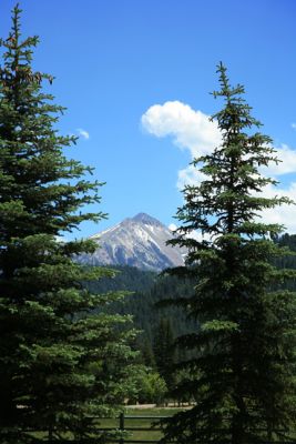 MT. BECKWITH from CRYSTAL MEADOWS