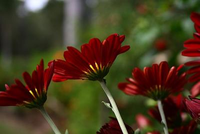 g4/42/347642/3/59408222.M5.jpg