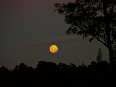 Moon over Whangarei
