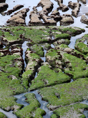 Pebble Beach