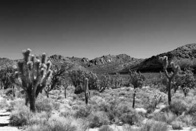 Teutonia Peak Trail