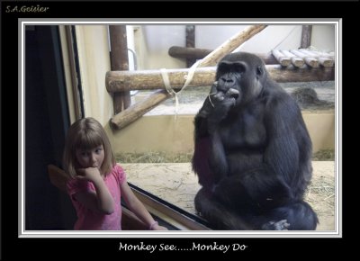 monkey 1.jpg