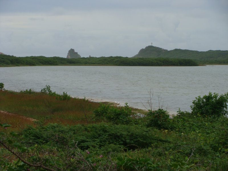 Pointe des Chteaux vue des Salines