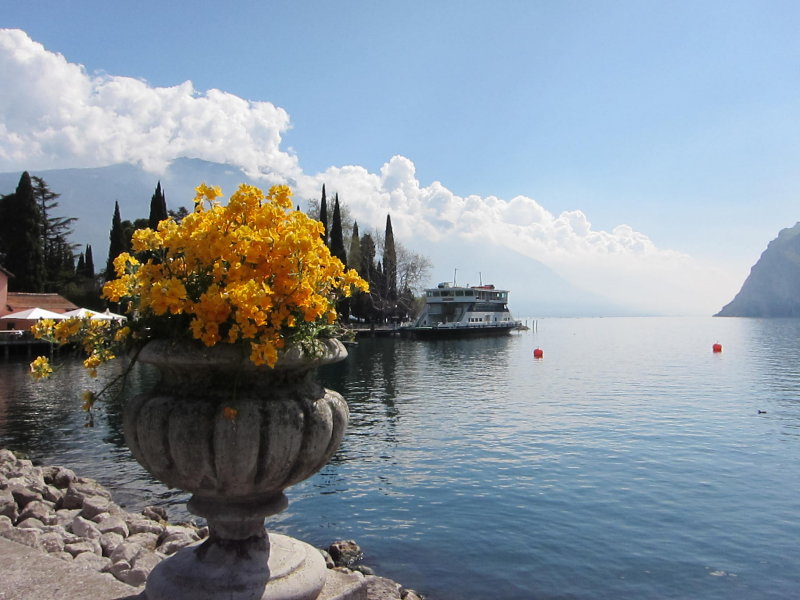 Riva