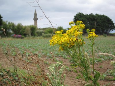 Callot, Carentec