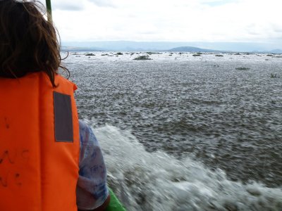 Raining on the lake