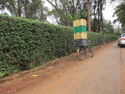 University of Nairobi Delivery Service