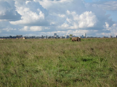 Nairobi National Park